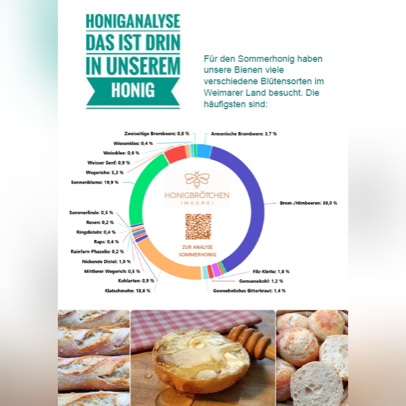 Spannende Einblicke: Die DNA-Analyse unseres Honigs 🍯🔬